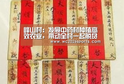 峰山村:发展中药材种植高效农业,带动全村一起脱贫致富!-世界杯买球(图1) 世界杯投注