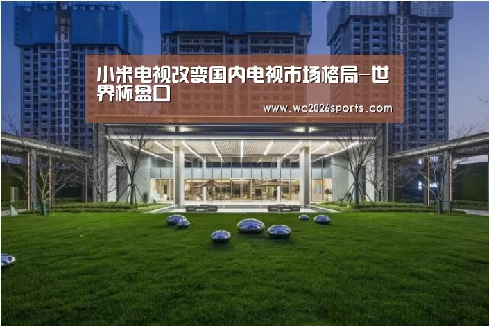 小米电视改变国内电视市场格局-世界杯盘口(图2) 世界杯投注