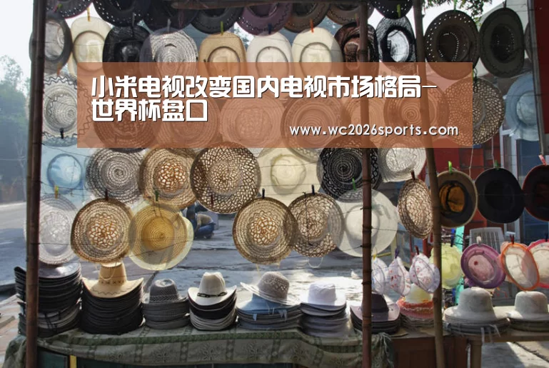 小米电视改变国内电视市场格局-世界杯盘口(图1) 世界杯盘口