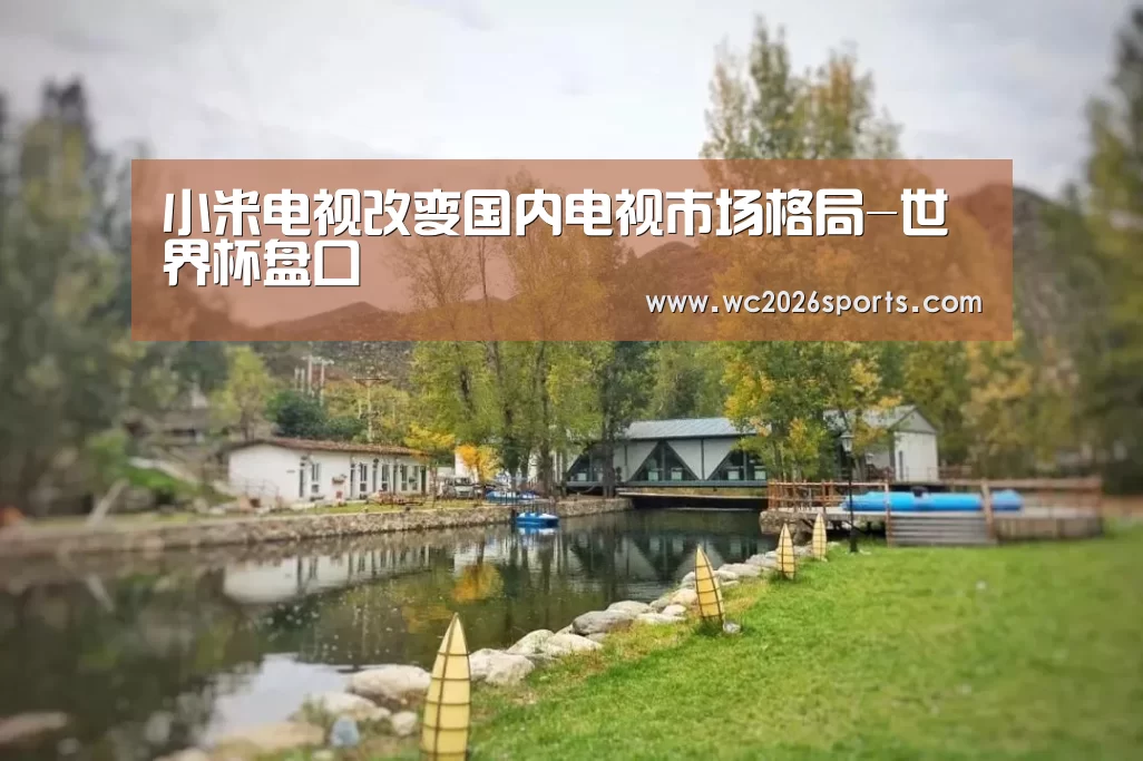 小米电视改变国内电视市场格局-世界杯盘口(图3) 世界杯买球