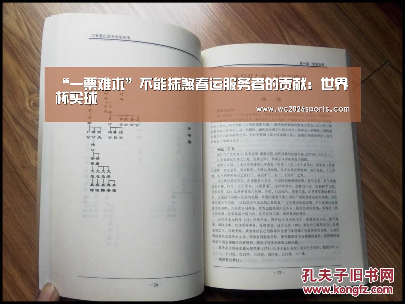 “一票难求”不能抹煞春运服务者的贡献:世界杯买球(图1) 世界杯买球